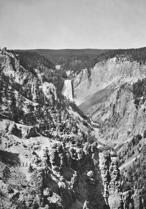 Yellowstone falls from down canyon in 1927.
